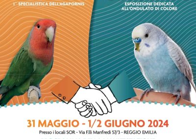 Colorado-lovebird 2024