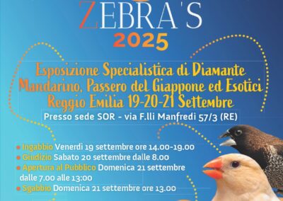 Zebra’s 2025