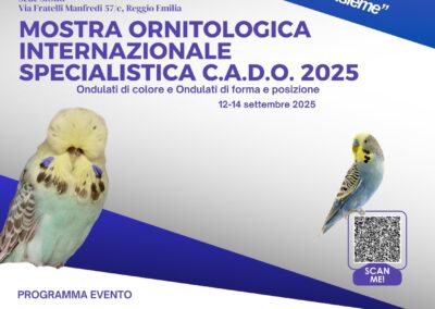 Club Amici dell’Ondulato 2025